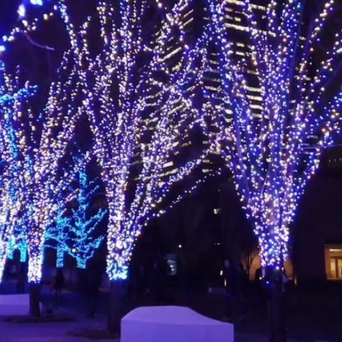 Новогоднее освещение прилегающих территорий и площадок | Уличное, праздничное освещение предприятий